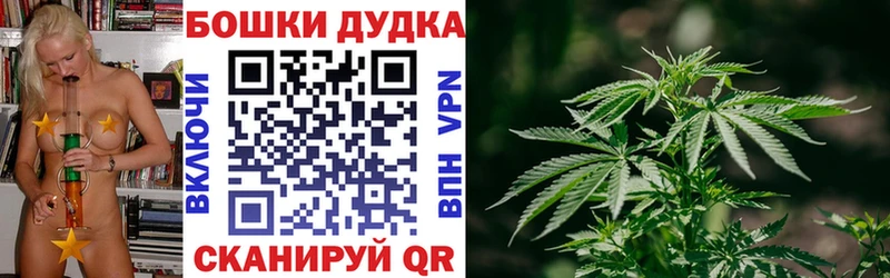 Марихуана сатива  Купить  Гдов 